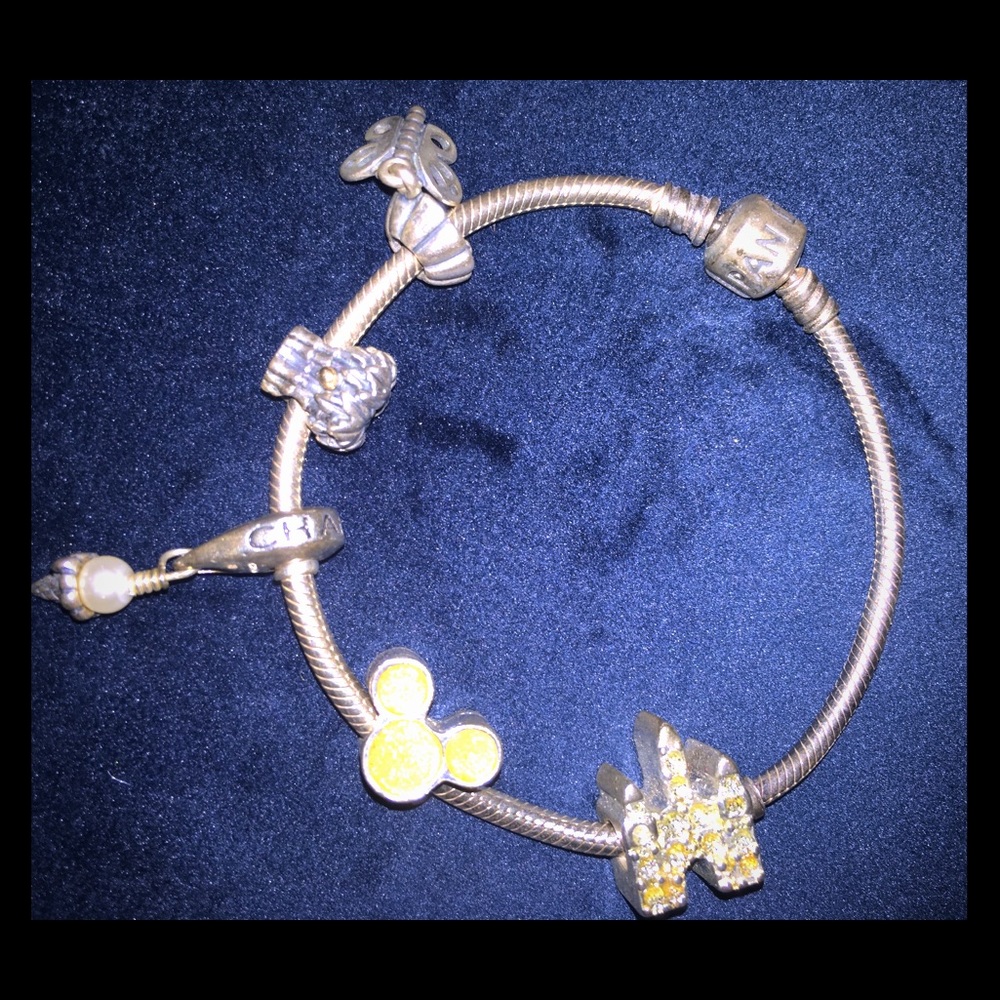 Pandora Bracelet with 5 charms included!